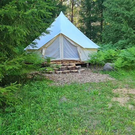 Raja Metsaglaemping * Kanassaare